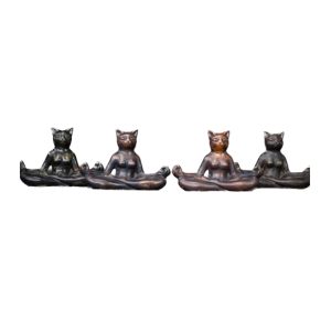 Cat in Yoga position