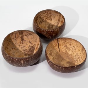 Coconut Bowl Set