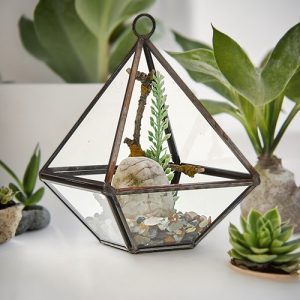 Glass Terrarium