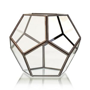 Glass Terrarium