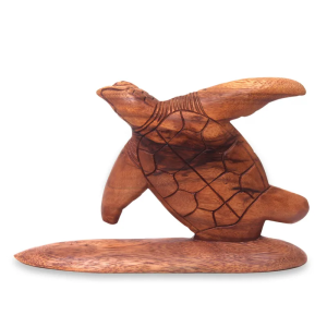 Turtle  surf board
