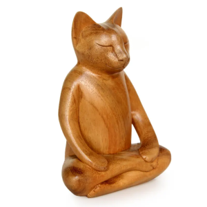 Yoga Cat