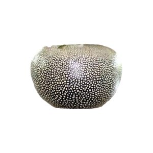 Rock Eggs, Unique Lacquerware Mango Wood Vase